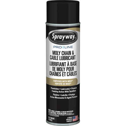 Lubrifiant au molybd&egrave;ne Pro Line pour chaînes et c&acirc;bles, Canette a&eacute;rosol Action Paper