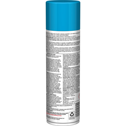 Nettoyant tout usage Pro Line Crazy Clean, 19 oz., Canette a&eacute;rosol Action Paper