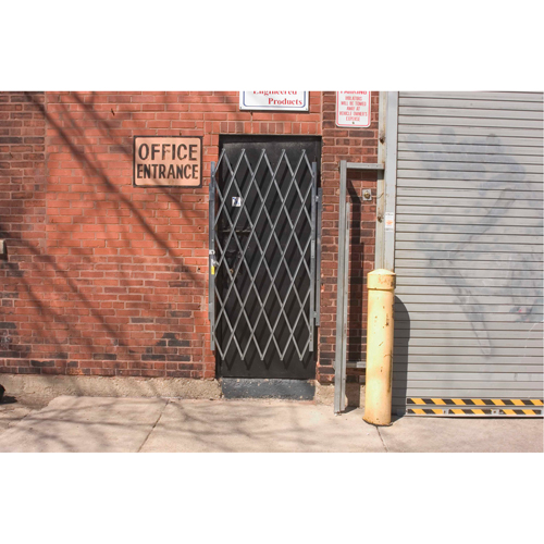 Heavy-Duty Door Gates, Single, 4' L x 6' 3" H Expanded Action Paper