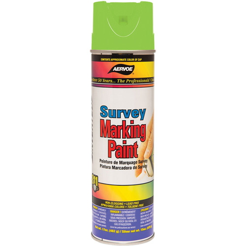All-Purpose Marking Paint, 17 oz., Aerosol Can Action Paper