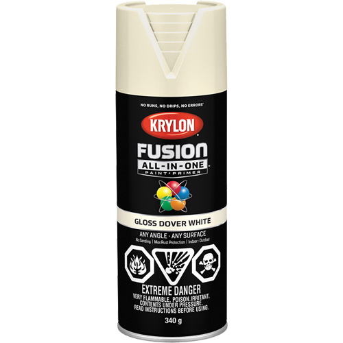 Fusion All-In-One Spray Paint, Dover White, Gloss, 12 oz., Aerosol Can Action Paper