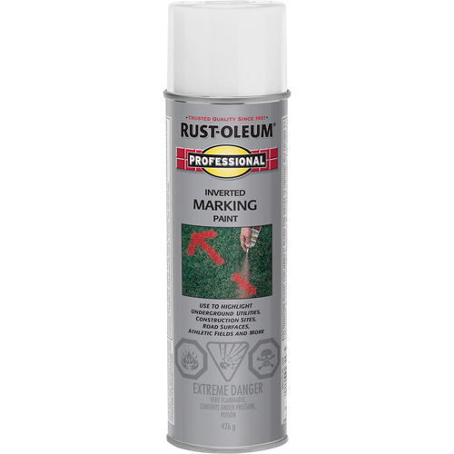 Peinture de marquage renvers&eacute; en a&eacute;rosol, 426 g, Canette a&eacute;rosol Action Paper