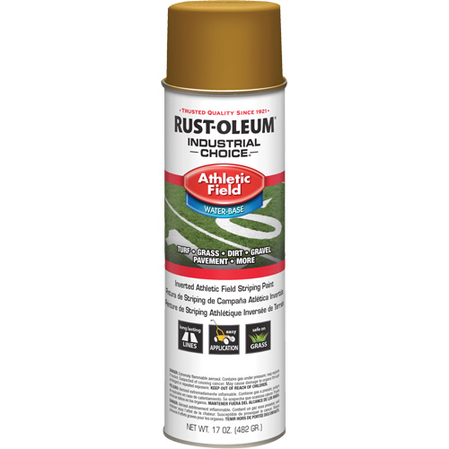 Peinture de lignage pour terrains de sport AF1600, Or, Canette a&eacute;rosol Action Paper