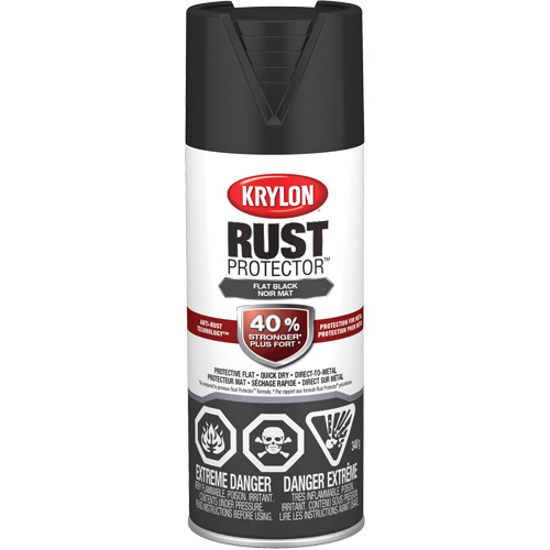 Peinture &agrave; &eacute;mail Rust Protector, Noir, Tr&egrave;s mat, 12 oz, Canette a&eacute;rosol Action Paper