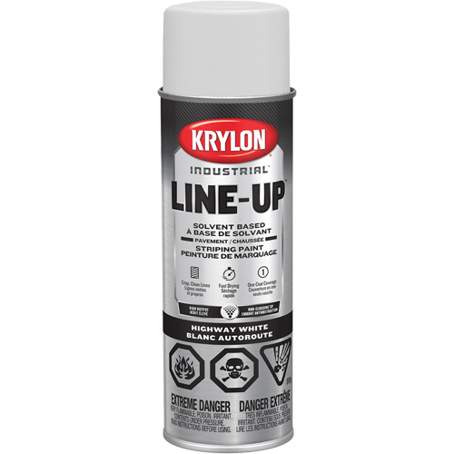 Professional Solvent-Based Marking Paint, White, 18 oz., Aerosol Can Action Paper