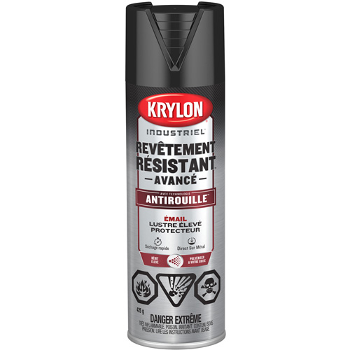 Tough Coat&reg; Advanced Paint with Rust Barrier Technology, Black, High-Gloss, 425 g, Aerosol Can Action Paper