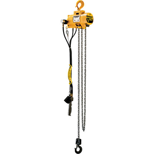 Budgit&reg; Air Chain Hoists Action Paper