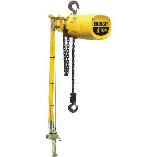 Budgit&reg; Series 6000 Air Hoists Action Paper
