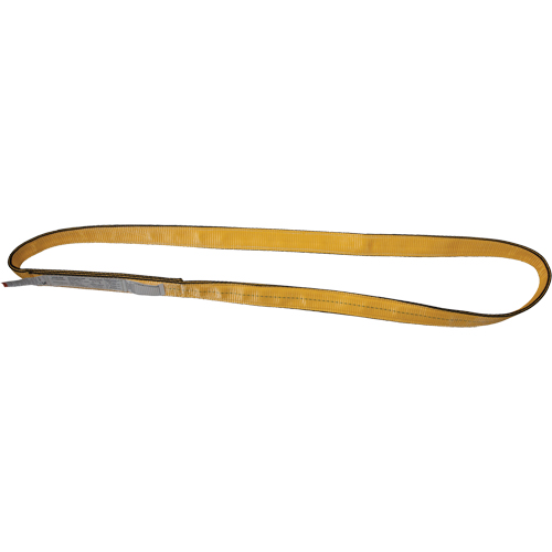 &eacute;lingues de levage en nylon, Pli Double, Sans fin, Type 5, 4" la x 3' lo, Limite de charge verticale 22000 lb Action Paper