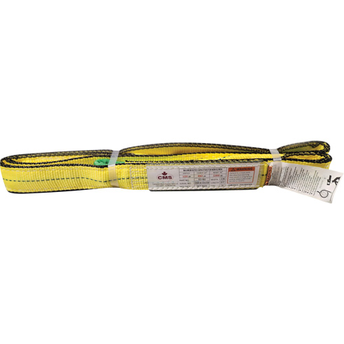 &eacute;lingue en sangle de polyester, Pli Double, Oeillets renvers&eacute;s, Type 4, 2" la x 8' lo, Capacit&eacute; verticale 6400 lb Action Paper