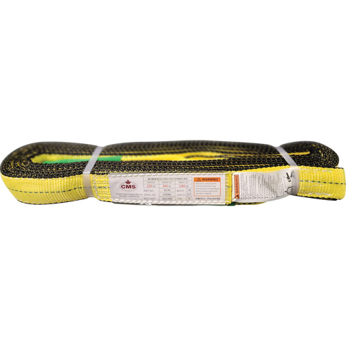 &eacute;lingue en sangle de polyester, Pli Double, Oeillets renvers&eacute;s, Type 4, 2" la x 20' lo, Capacit&eacute; verticale 6400 lb Action Paper