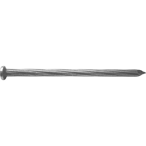 Concrete Heat-Treated Construction Nails Action Paper