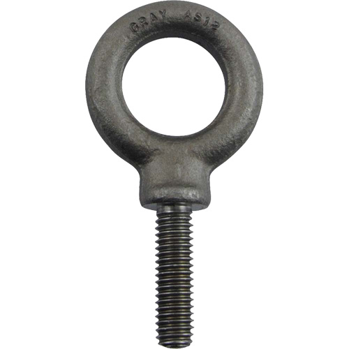 Alloy Steel Eye Bolt, 1" Dia., 1-1/4" L, 1480 lbs. (0.74 tons)/1480 lbs. Capacity Action Paper
