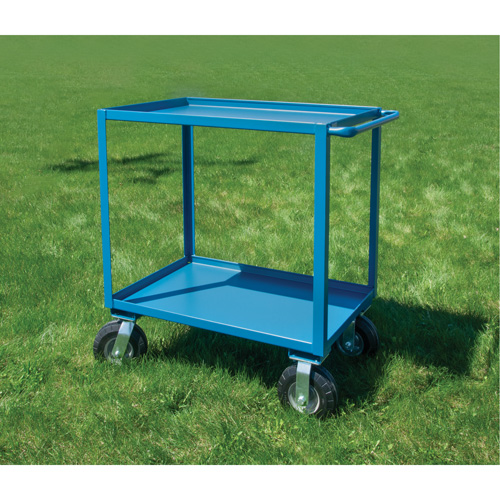 Outdoor Shelf Cart, 2 Tiers, 18" W x 39" H x 33" D, 1200 lbs. Capacity Action Paper