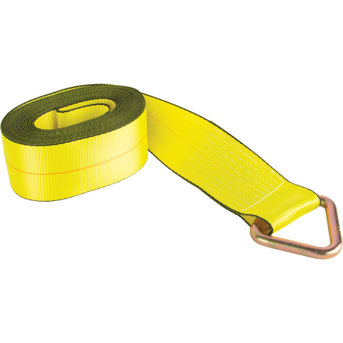 Logistic Strap, Delta Ring, 4" W x 30' L, 5400 lbs. (2449 kg) Working Load Limit Action Paper