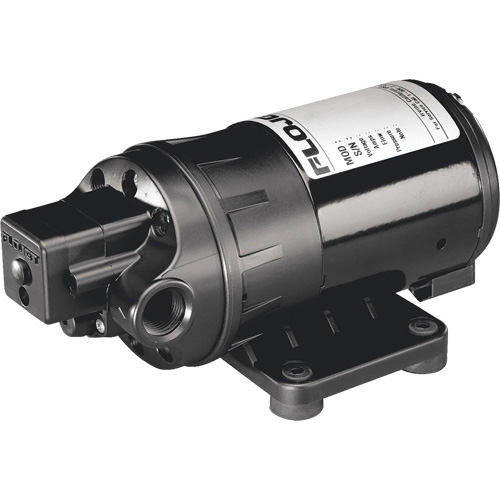 Flojet Duplex II Series Diaphragm Pump Action Paper