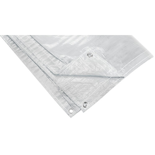 B&acirc;che isol&eacute;e, Poly&eacute;thyl&egrave;ne, Blanc, 20' x 12' x 8 mils Action Paper