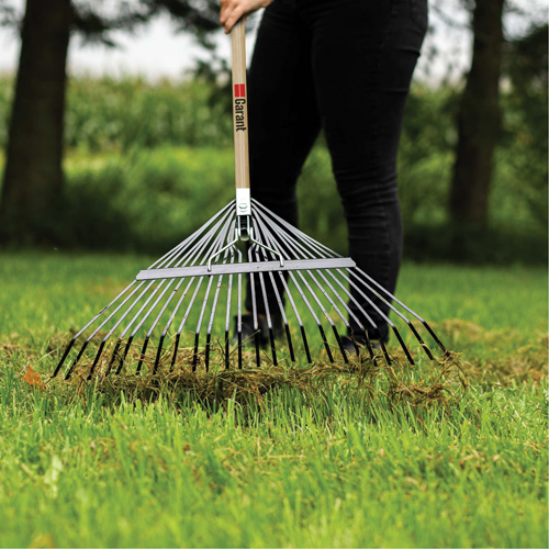 Lawn Rake, 24 Tines, Hardwood Handle, Steel Blade Action Paper