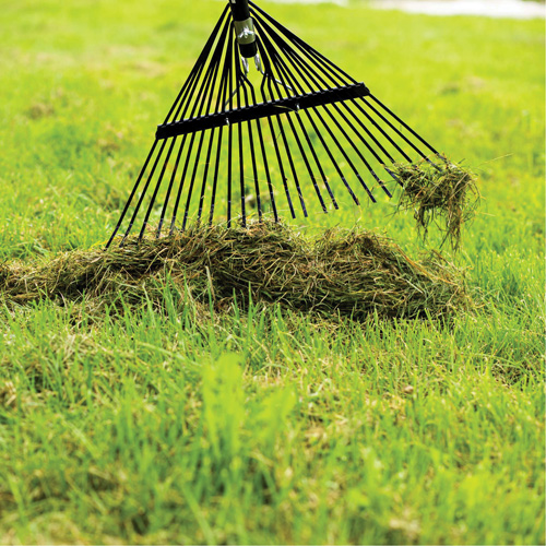 Lawn Rake, 24 Tines, Hardwood Handle, Steel Blade Action Paper