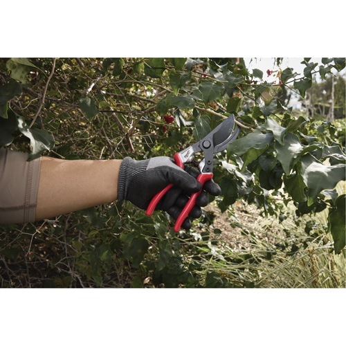 1” Angled Pruning Shears Action Paper