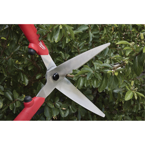 Hedge Shears? with Hollow Handle Action Paper