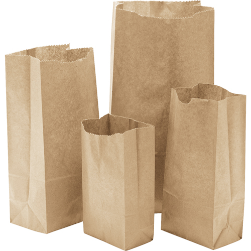 Paper Bags, Paper, 6" W x 11-0/0" L Action Paper