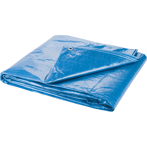 Tarp, Standard Duty, Blue, 7' x 5' x 4 mils Action Paper