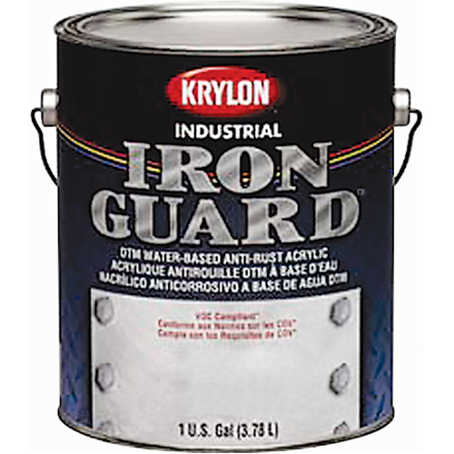 Industrial Iron Guard&reg; Water-Based Enamel, Can, Grey Action Paper