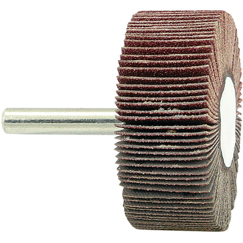 Disque &agrave; lamelles mont&eacute; sur mandrin, Grain 80, 2" x 3/4" x 1/4" Action Paper