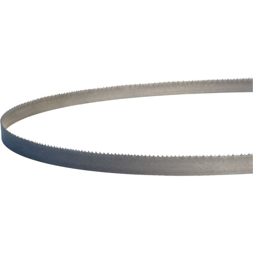 Master-Band&reg; Portable Band Saw Blades, Bi-Metal, 18 TPI, 44-7/8" L x 1/2" W Action Paper