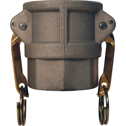 Global Cam & Groove Coupler, Aluminum, Type D, 2", Female NPT, 250 PSI Action Paper