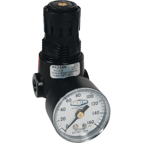 Wilkerson Miniature Regulator R04, 1/4" NPT, 300 psi Max. PSI, Standard Action Paper
