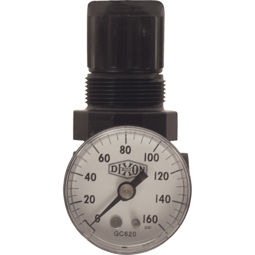 Series 1 Miniature Regulator, 1/8" NPT, 100 psi Max. PSI, Standard Action Paper