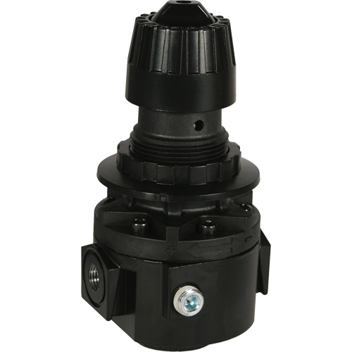 Wilkerson Regulator R26, 1/2" NPT, 300 psi Max. PSI, Standard Action Paper