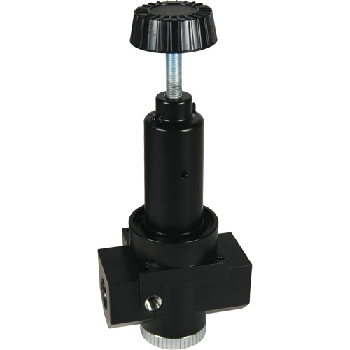 R&eacute;gulateur &agrave; d&eacute;bit &eacute;lev&eacute; R30 Wilkerson, 1" NPT, PSI max. de 300 psi, Standard Action Paper