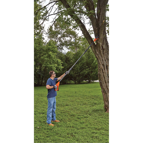 Max* Cordless Pole Pruning Saw Kit Action Paper
