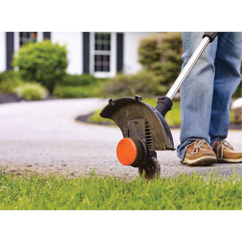 Ensemble de coupe-bordure/taille-bordure sans fil &agrave; 2 vitesses Max*, 12", &agrave; pile, 20 V Action Paper