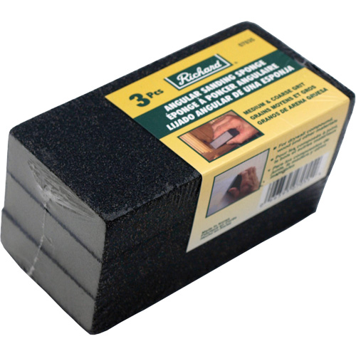 Angled Sanding Sponge Action Paper