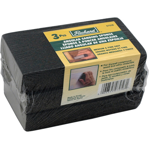Angled Sanding Sponge Action Paper