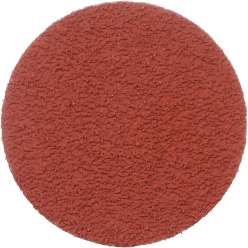 Cubitron II Roloc Durable Edge Disc, 2" Dia., 60+ Grit, Ceramic Action Paper