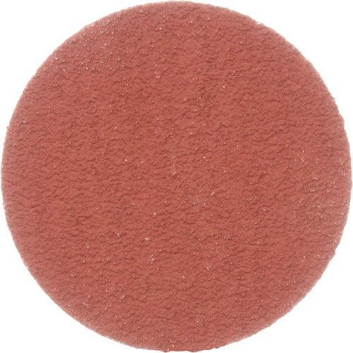 Cubitron II Roloc Durable Edge Disc, 2" Dia., 80+ Grit, Ceramic Action Paper