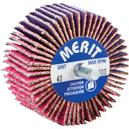 Mini-meule &agrave; lamelles filet&eacute;es, C&eacute;ramique d'alumine, Grain 40, 2" x 1" x 1/4"-20 Action Paper