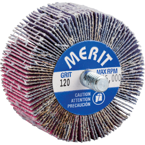 Mini-meule &agrave; lamelles filet&eacute;es, C&eacute;ramique d'alumine, Grain 120, 2" x 1" x 1/4"-20 Action Paper