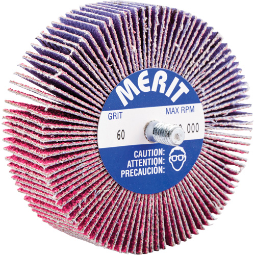 Mini-meule &agrave; lamelles filet&eacute;es, C&eacute;ramique d'alumine, Grain 60, 3" x 1" x 1/4"-20 Action Paper