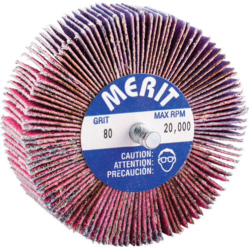 Mini-meule &agrave; lamelles filet&eacute;es, C&eacute;ramique d'alumine, Grain 80, 3" x 1" x 1/4"-20 Action Paper