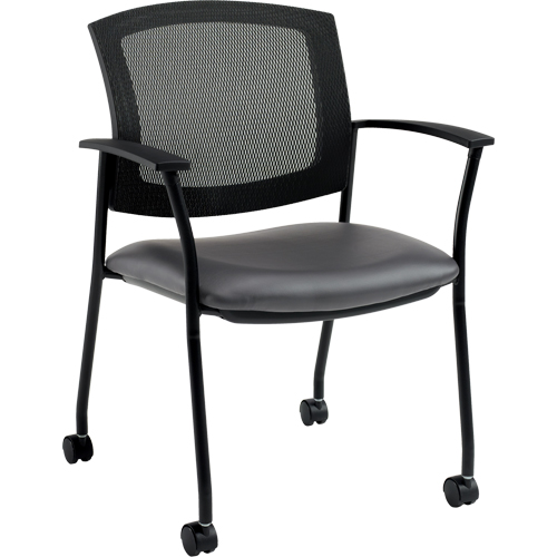 Ibex Guest Chairs Action Paper