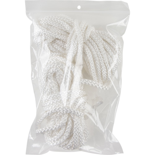 Poly Bags, Reclosable, 9" x 6", 4 mils Action Paper