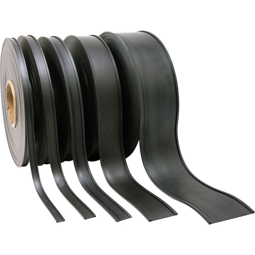 Porte-&eacute;tiquette, Magn&eacute;tique, 600" lo x 2" la Action Paper