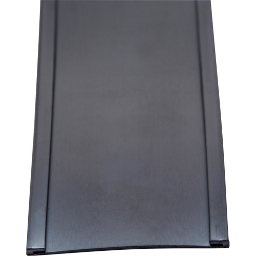 Porte-&eacute;tiquette, Magn&eacute;tique, 600" lo x 2" la Action Paper