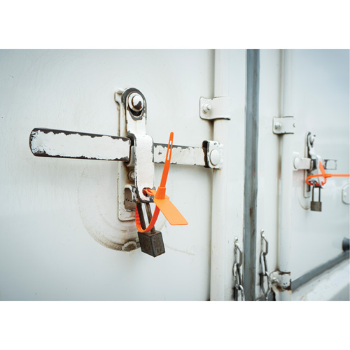 Scell&eacute; de s&eacute;curit&eacute;, 7-3/4", Plastique, Scell&eacute; pour camion Action Paper